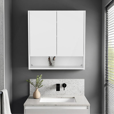 Armoire à pharmacie à double porte Hickory, idéale pour le rangement dans la salle de bain