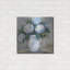 «Summers Treasure» par Jeanette Vertentes, art mural en métal, 24 po x 24 po-1678118314