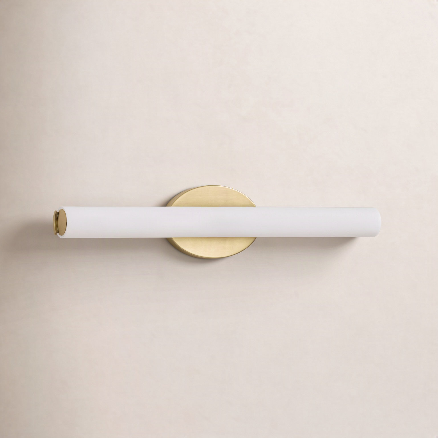 Delphine Single Frosted Dimmable LED Vanity Light
