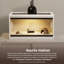 Petit terrarium Deneishia-52916582-123293283