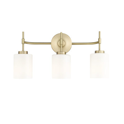 Holleran 22" Wide 3-Light Vanity 