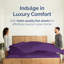 Drap plat doux - Drap de dessus rafraîchissant, respirant et infroissable-106537325-106537322