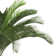 59.1'' Faux Palm Tree in Planter