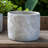Potomac Pot Planter