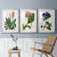 Reproduction encadrée antique de qualité florale II - prête à être accrochée-69879376-69879377
