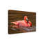 Art sur toile, Bolo John-109223165