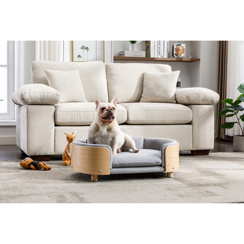 Animal de compagnie de taille moyenne gris avec style scandinave, dossier en bois cintré et mousse à mémoire de forme amovible en velours, installation en 1 minute pour le grand lit Canines