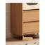 Armoire de rangement multifonctionnelle en bois massif