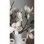 White Magnolia Tulip 20"