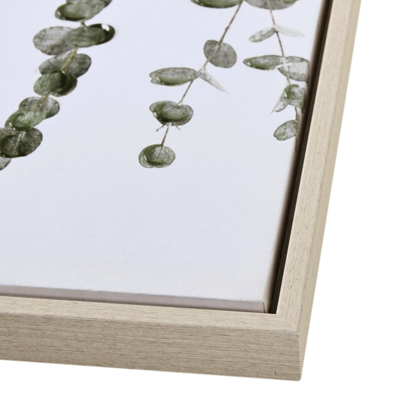 2 œuvres d'art murales en eucalyptus - Transformez votre espace