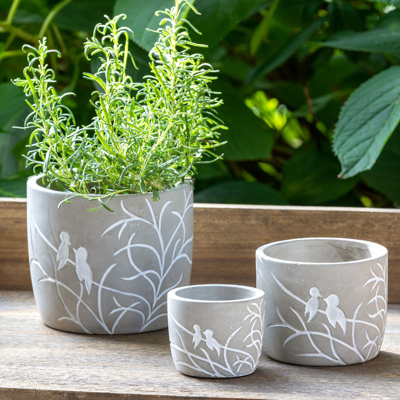 Pot Planter, 4.75" H x 5.5" W x 5.5" D