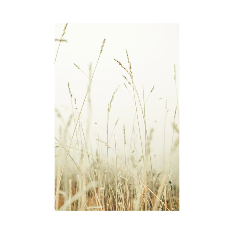 Winter Field II by Olivia Joy StClaire - Wrapped Canvas Print