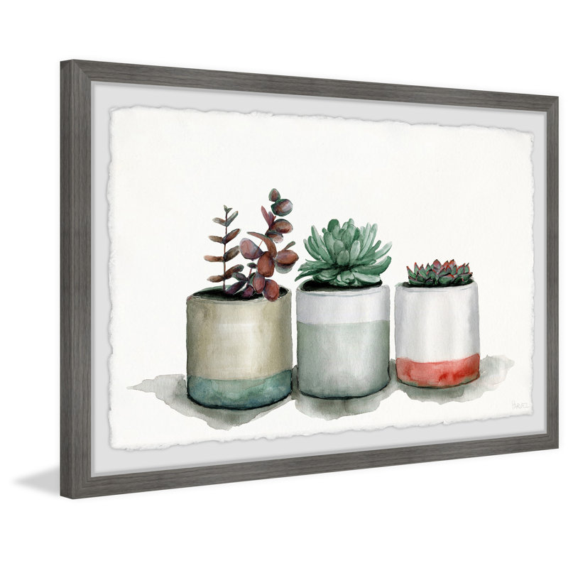 Triple Cactus Line by Parvez Taj - 1 Piece Single Picture Frame Painting, 61 cm H x 91 cm W