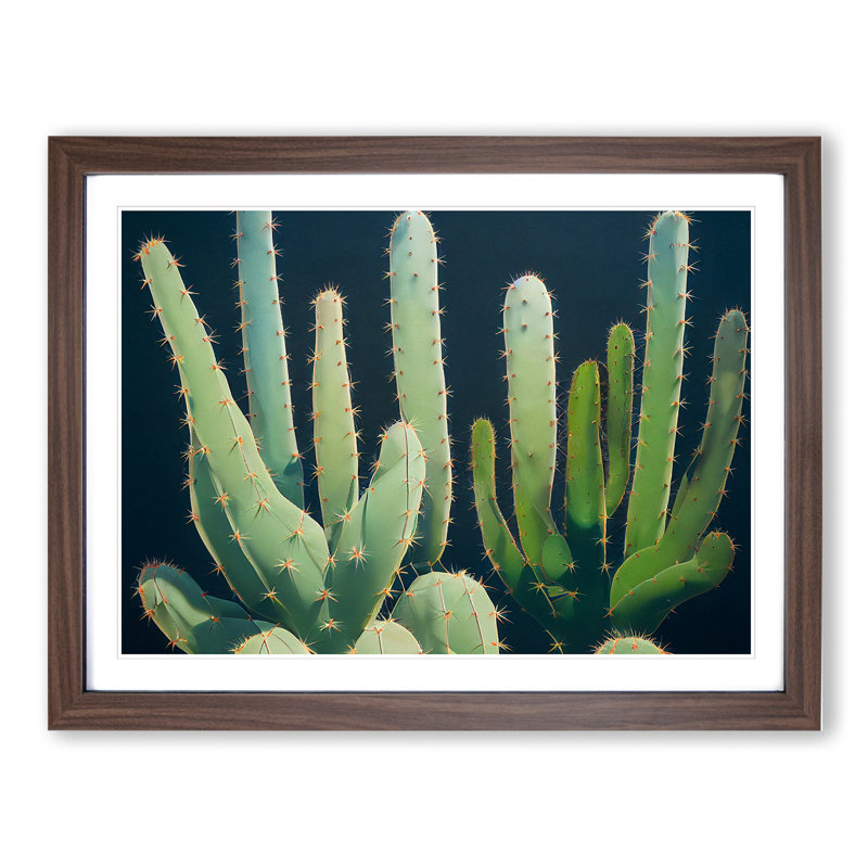 Enthralling Cactus - Single Picture Frame Painting, 46cm H x 64cm W x 2cm D, Walnut 