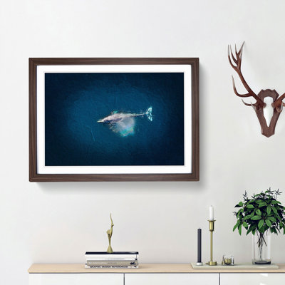 Swimming Dolphin - Picture Frame Painting Print