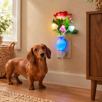 Bedrooms, bathrooms, nurseries, kitchens, and basements can be accented with this 2-Pack of sensor-equipped plug-in LED nightlights, featuring color-changing rose-flower and mushroom designs for kids and adults.