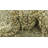 Iraheta Gray Rug