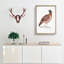 Chinese Horned Pheasant Illustration by John Edward Gray - Picture Frame Painting Print-55546056-55546053