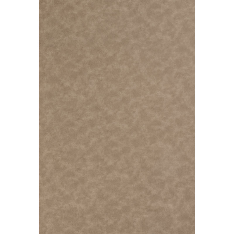 Neena 51cm H Upholstered Side Chair, Beige