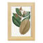 Fall Foliage III, reproduction d'art encadrée-90582660-90582650