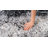 Shag Adrian Grey/Black Rug-1228700353
