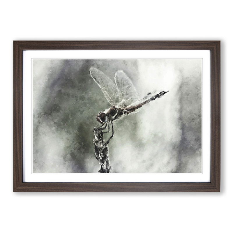 Perched Dragonfly - Picture Frame Graphic Art Print, 33cm H x 45cm W x 2cm D, Walnut