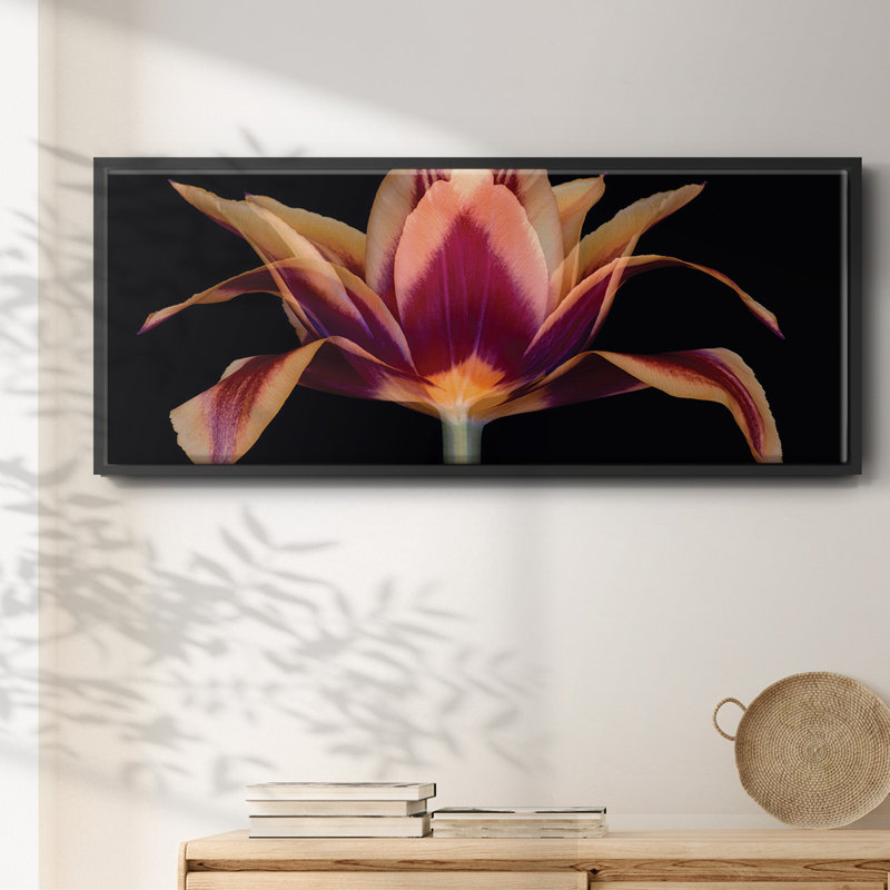 Red Tulip- Framed Canvas, 12" H x 30" W