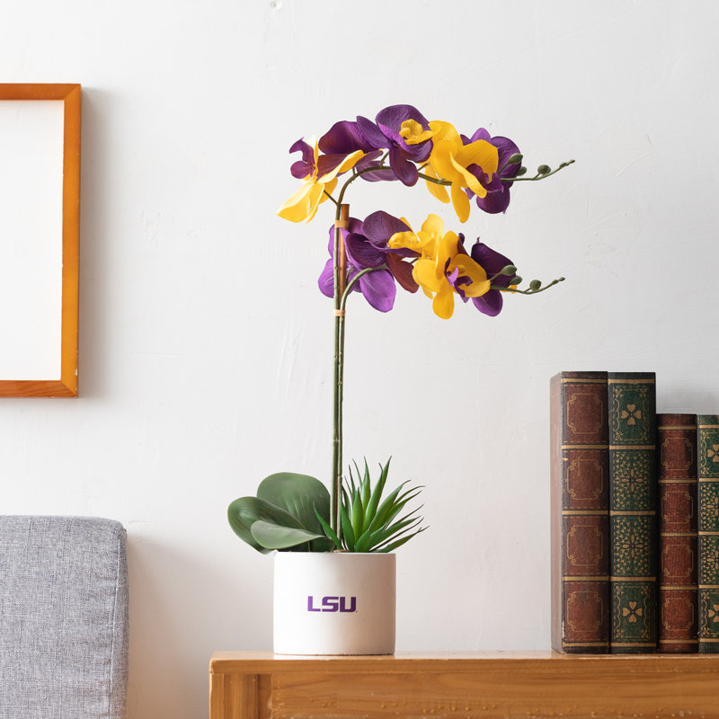Arrangement floral orchidée dans un vase, LSU