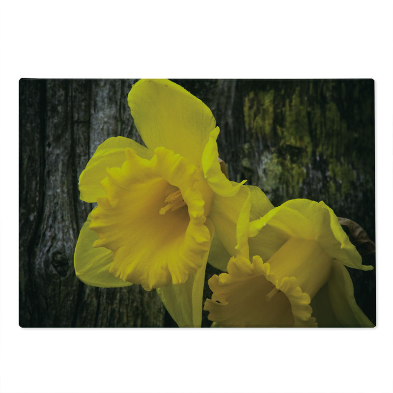 Ambesonne Dutch Cutting Board Large Size Image of Trumpet Daffodil Dark Cocoa Earth Yellow
