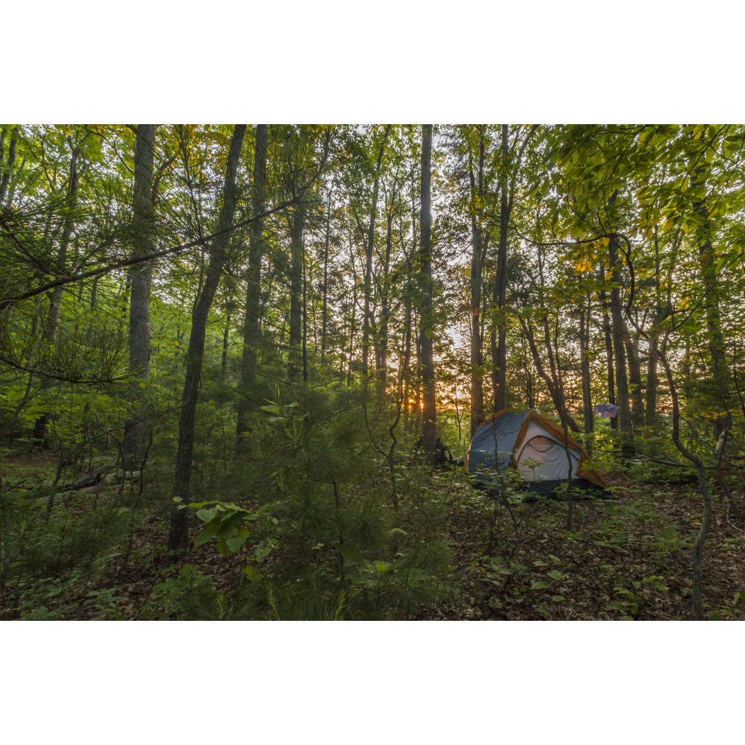 Sonnenaufgang im Wald von BeachcottagePhotography - Kunstdrucke ohne Rahmen auf Leinwand