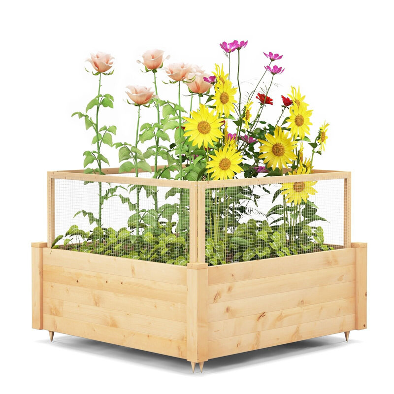 Cameisha Wood Planter Box