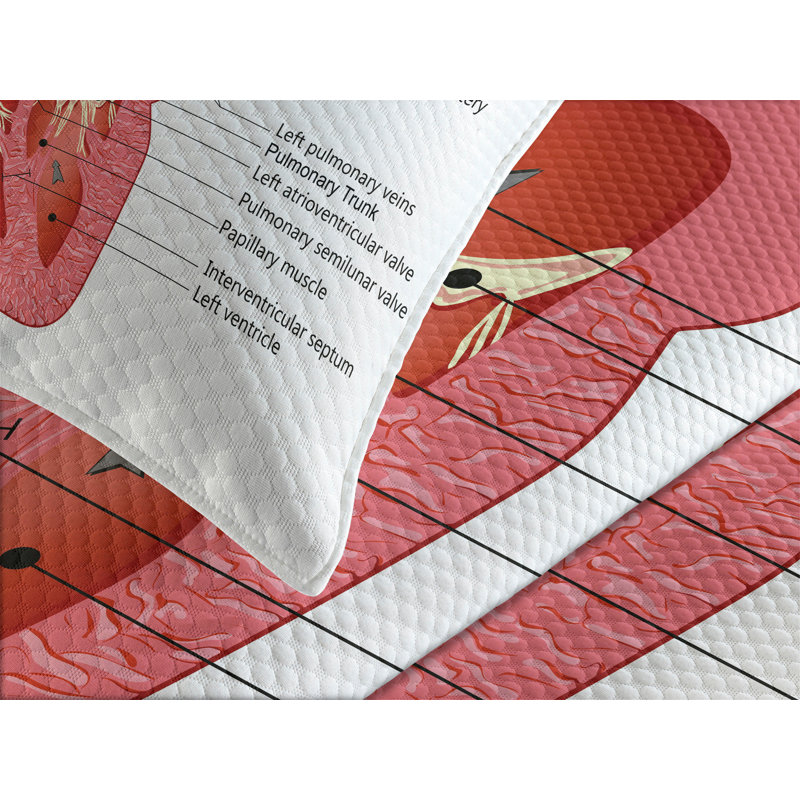 Ambesonne Science Bedspread Set Human Body Organ Multicolor, King Bedspread + 2 Standard Shams