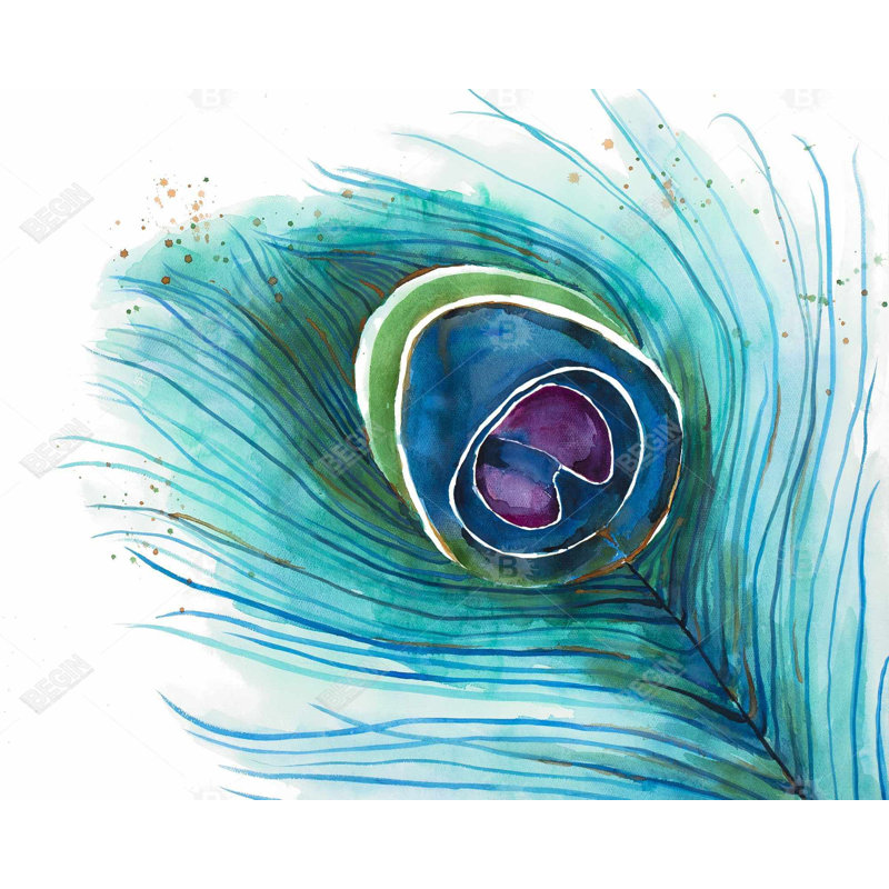 Peacock Feather Closeup Print On Canvas