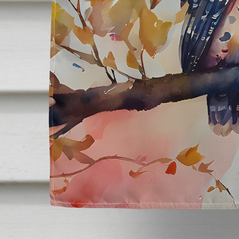 Drapeau Elf Owl House_DAC3220