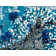 Colfin Washable Floral Indoor Rug