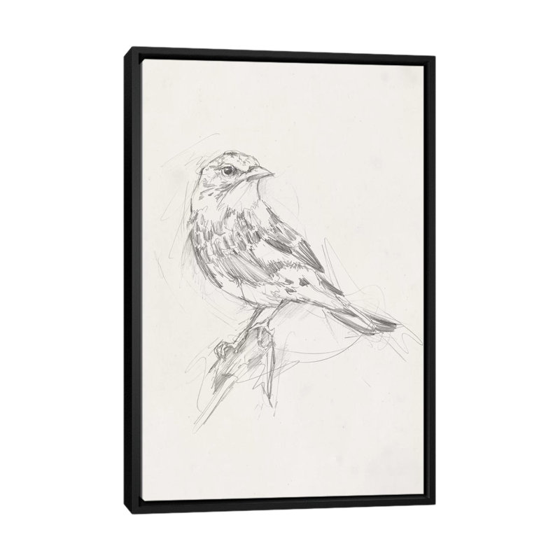 «Avian Study I» par Ethan Harper - reproduction d'art, H 26 po x l 18 po x 1,5 po, Toile avec cadre noir, Pas de tapis
