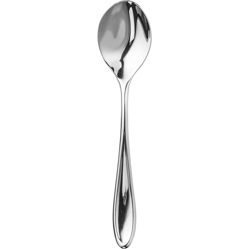 Forma Stainless Steel Dinner Spoon