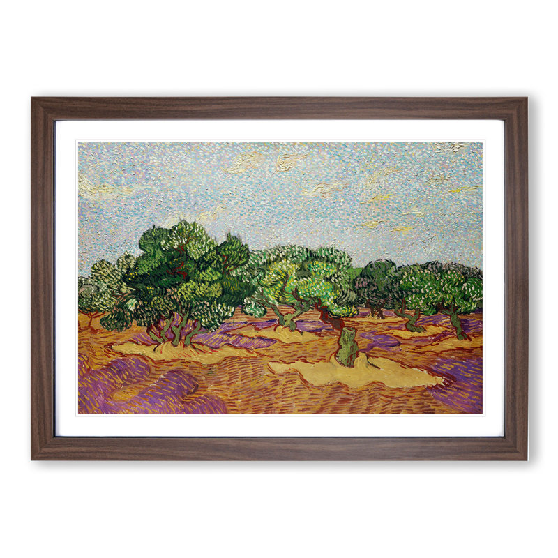 Olive Trees by Vincent Van Gogh - Framed Print, 36cm H x 48cm W x 2cm D, Walnut Framed