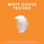 Oreiller en plumes d'oie blanche-763432827-763432782