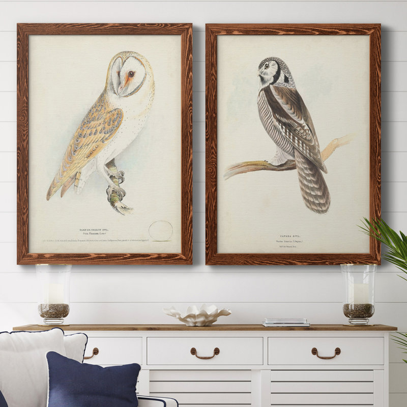 Toile encadrée de qualité supérieure Barn Owl - prête à être accrochée, Toile avec cadre noyer, H 20 po x l 34 po x P 1,5 po