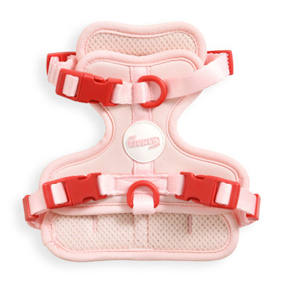 Harnais pour animal de compagnie Arlo