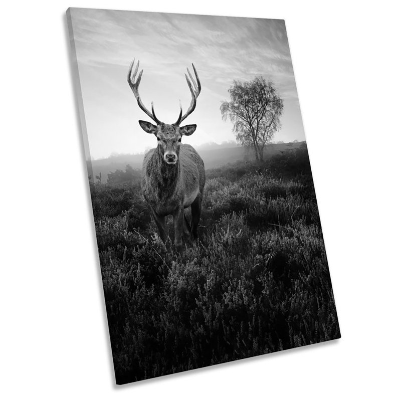 X2178 Wrapped Canvas Print, 45.7cm H x 30.5cm W x 2cm D