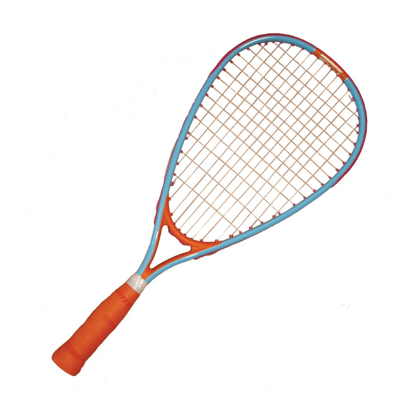 Speedminton Badminton with Carrying Case