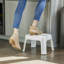 1 - Step Plastic Lightweight Step Stool-1877998230