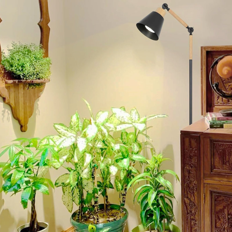 Plantes d'intérieur à spectre complet faisant pousser des lumières, grande lampe de croissance sur pied à hauteur ajustable avec ampoule COB, lampe de croissance pour plante à plancher 4/8 / 12H pour plantes moyennes du milieu, noir