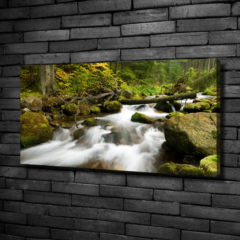 Olczyski Stream - No Frame Print on Glass, Canvas, 50cm H x 100cm W x 2cm D