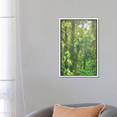 Jungle Mist by Mark Paulda - Print on Canvas