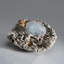 Barite bleue de Jebel Ouichane, Sagangane, province de Nador, région de L'oriental, Maroc