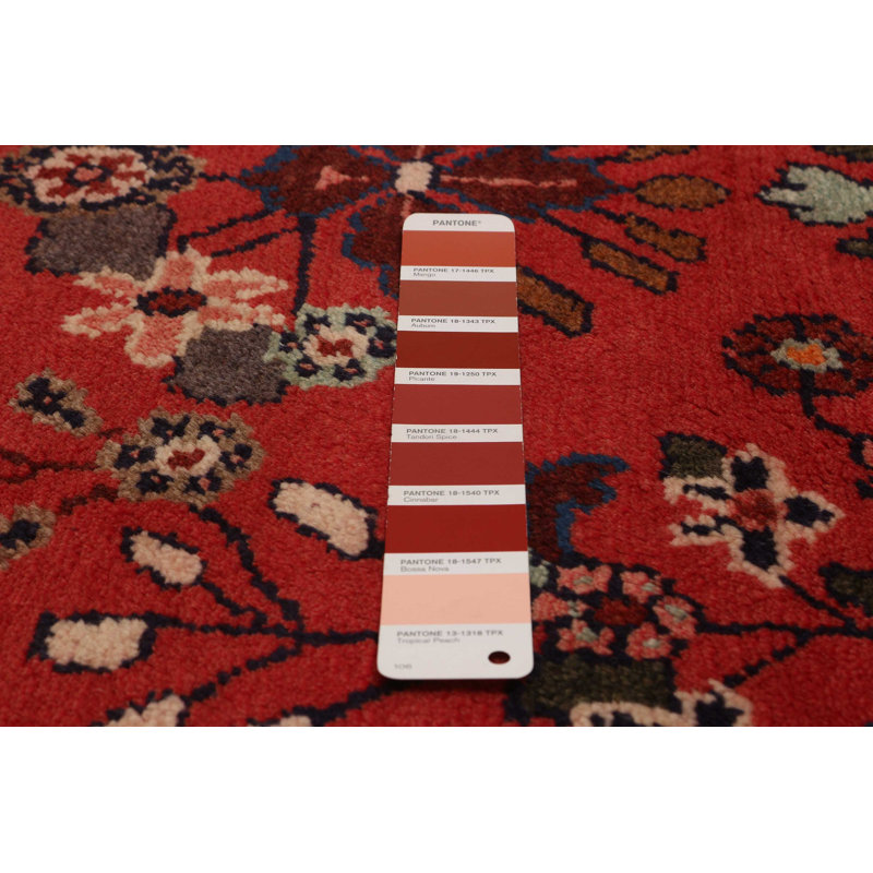 Tapis rouge Andelz 3 pi 5 po x 12 pi 11 po