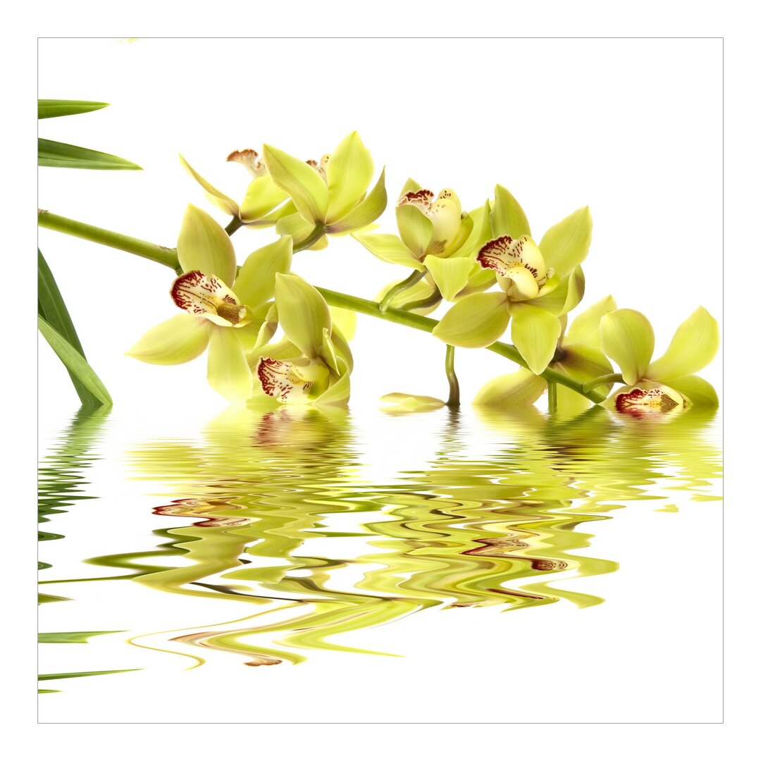 Fototapete Elegante Orchidee im Wasser